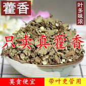 广藿香500g中药材藿香叶干霍香藿香粉藿香草藿香佩兰茶非野生藿香