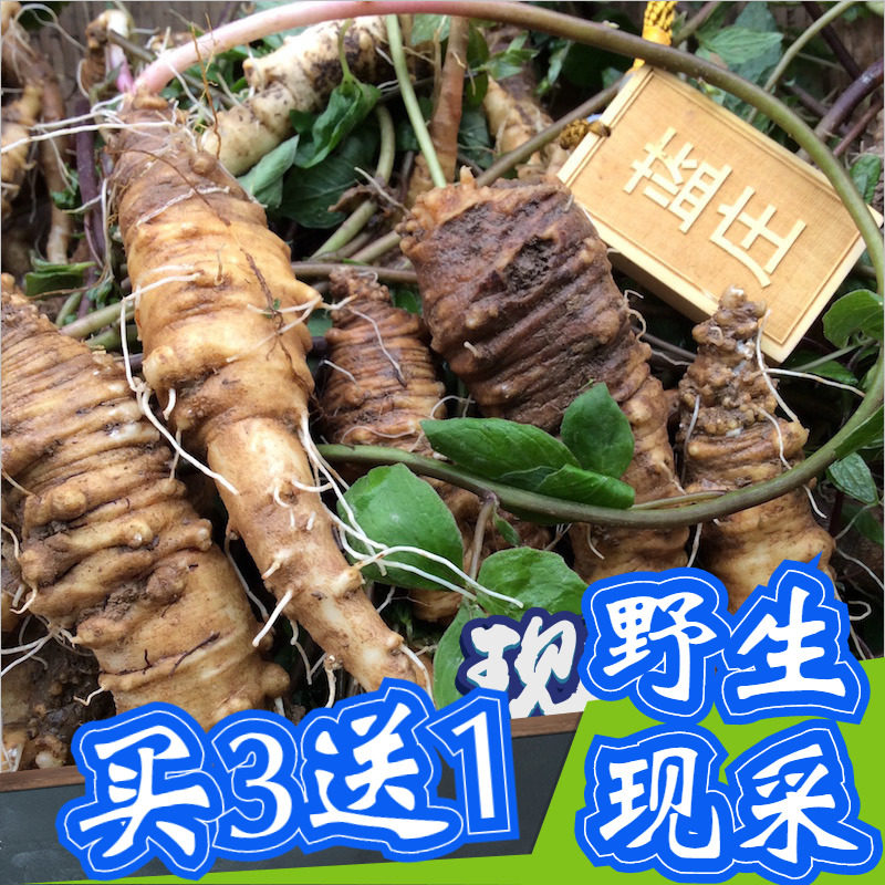 山海螺新鲜野菜通乳草狗头参四叶参下奶参羊乳根煲鸡汤炖猪蹄火锅