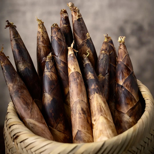 雷竹笋树苗庭院田笋竹雷笋菜竹食用吃春笋竹南北方耐寒浙江竹子苗