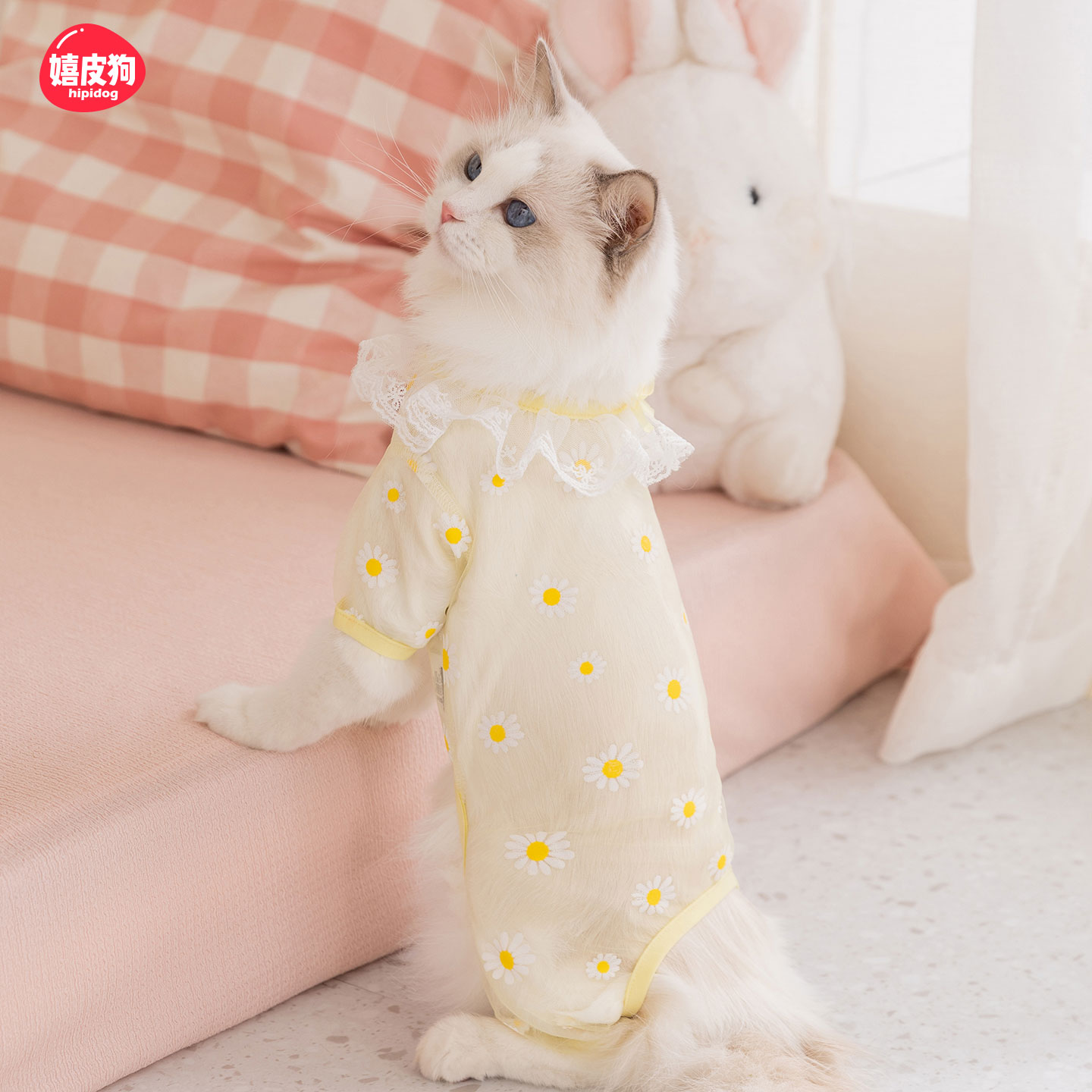 甜美风小雏菊猫咪防掉毛衣服薄款连体衣春夏新品舒适透气小狗衣服