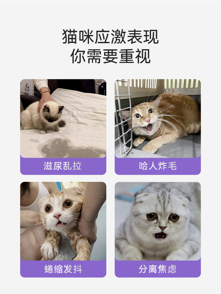 Calm Your Feline Friend: Gentle Pheromone Patch for Happy Cats - Taobao product photo 2