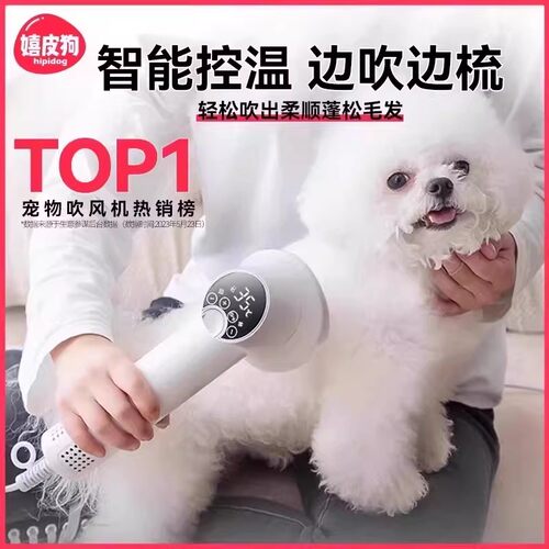 热卖好物丨宠物智能吹梳一体机