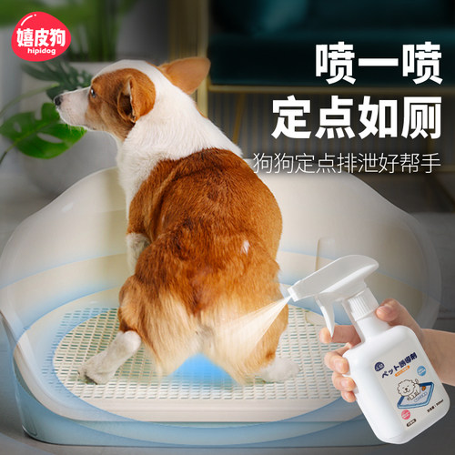 狗狗定点排便诱导剂|幼犬引导