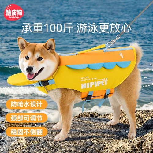 嬉皮狗宠物救生衣夏天狗狗玩水衣服柯基中型大型犬游泳衣户外泳衣