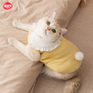 冬季小猫衣服德文猫布偶猫猫宠物阿比西尼亚猫冬天马甲防掉毛冬装