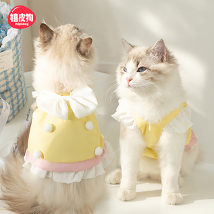 连衣裙小猫咪衣服薄款 2025新款 防掉毛德文布偶暹罗无毛猫宠物裙子