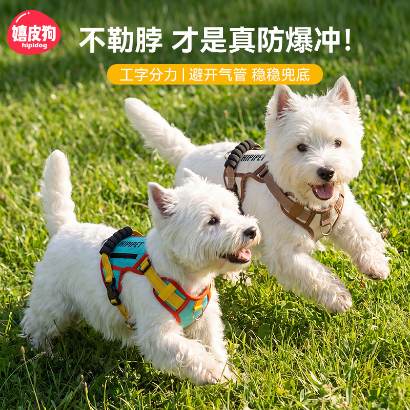 嬉皮狗狗狗背心式胸背带小型犬小狗工字型中型犬用品外出遛狗宠物图片