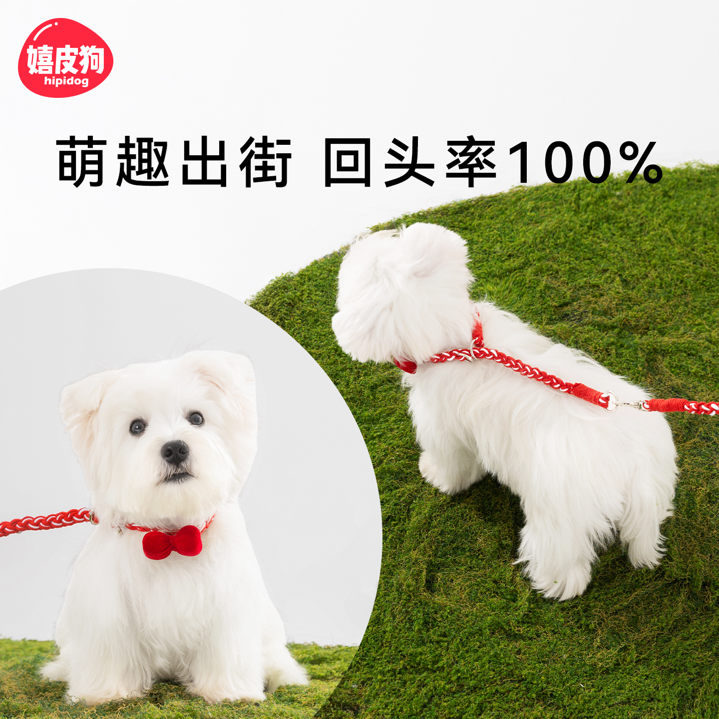 狗牵引绳p绳狗狗项圈链子一体式遛狗中小型犬宠物背带牵引绳