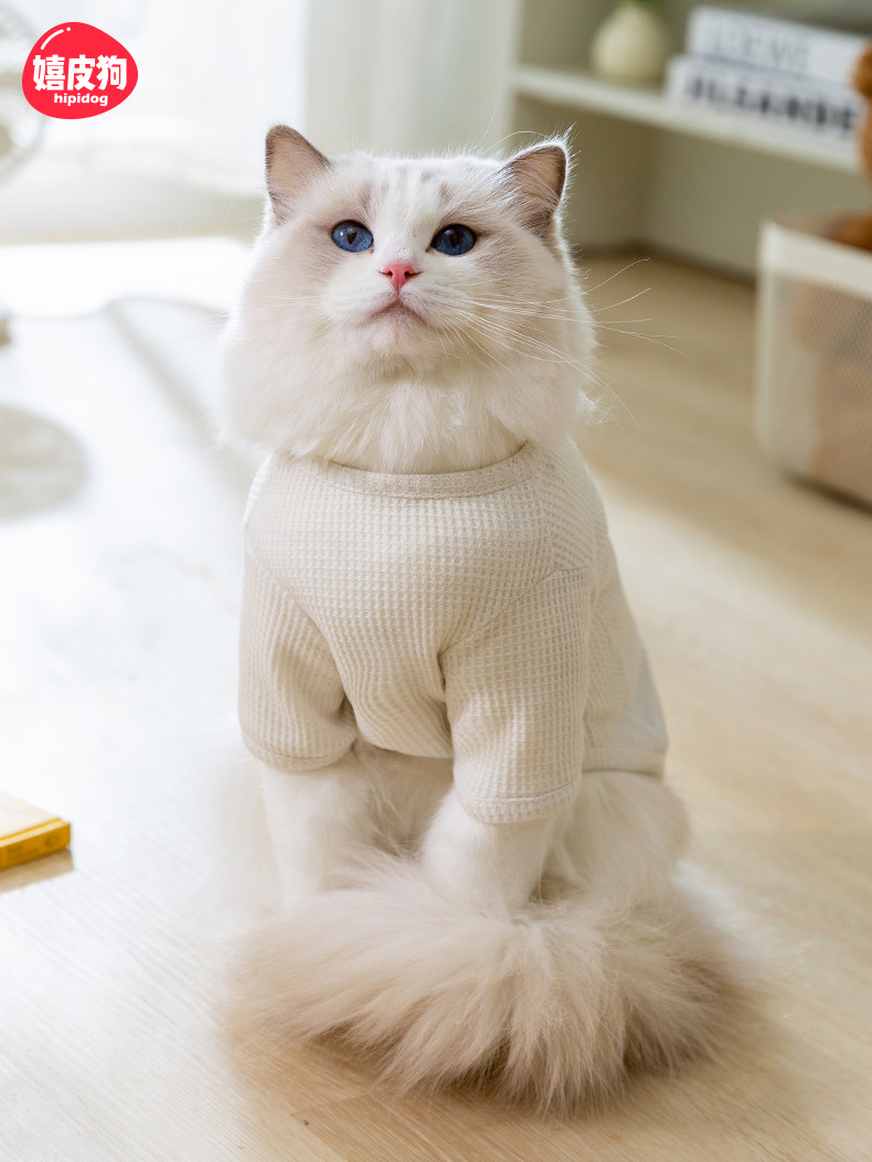 夏季猫咪衣服薄款宠物t恤春季薄款透气防掉毛布偶英短美短银渐层