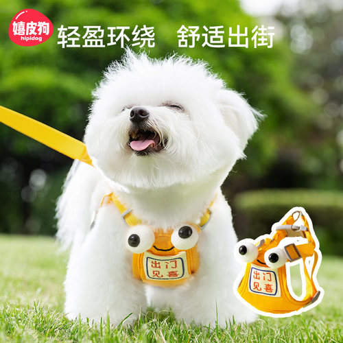 宠物狗狗出门见喜牵引绳