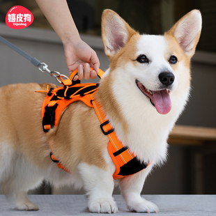 狗狗牵引绳胸背带外出防爆冲中型大型犬柴犬柯基背心式 遛狗绳狗链