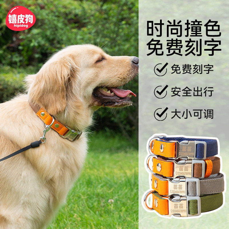 狗狗脖圈刻字宠物项圈防丢失中大型犬脖套项链金毛颈圈柯基柴犬