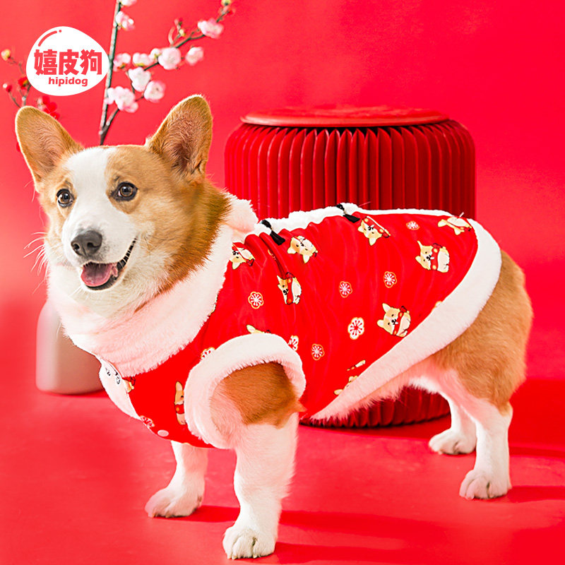喜庆唐装春节拜年冬季衣服柯基犬