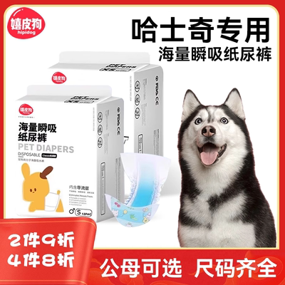 哈士奇专用狗狗纸尿裤宠物生理裤狗狗尿不湿公狗母狗狗防交配神器