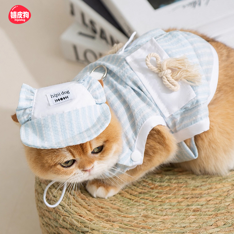 嬉皮狗夏天小猫咪衣服防掉毛薄款布偶英短蓝猫宠物德文猫夏季背心
