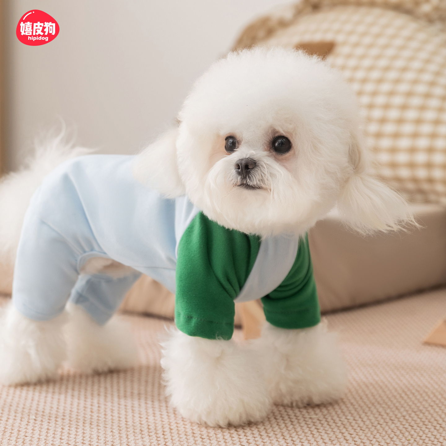 撞色拼接四脚衣狗狗衣服