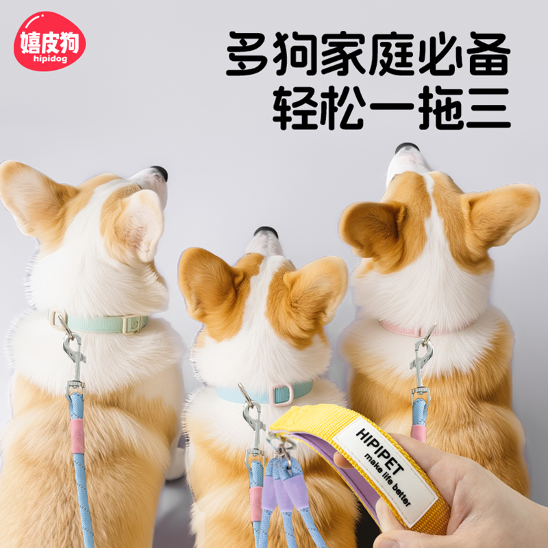 狗狗时尚撞色一拖多牵引绳