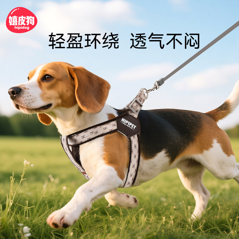 狗狗背心式牵引绳小型犬外出宠物背带遛狗专用比熊泰迪小狗狗胸背
