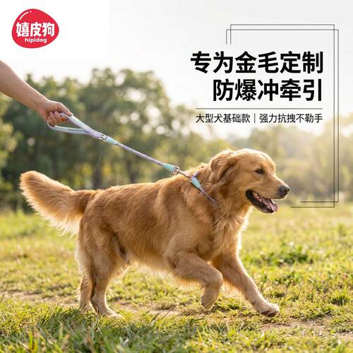 金毛大型犬防爆冲舒适牵引绳