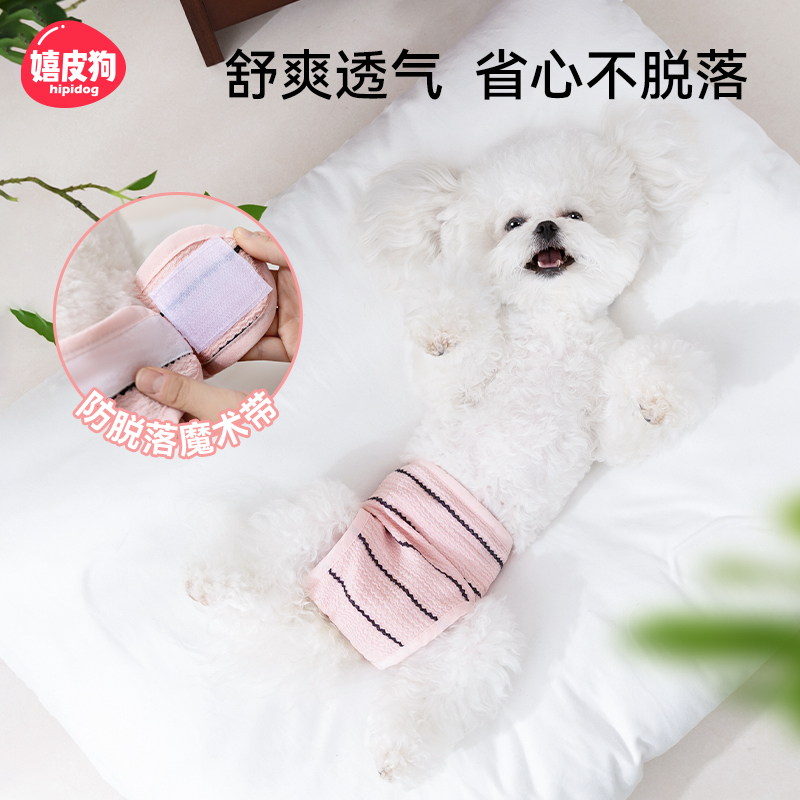 母狗狗生理裤姨妈期宠物专用卫生巾防骚扰神器内裤小型幼犬泰迪