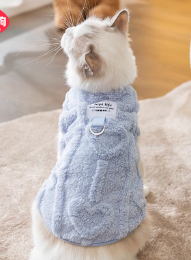 宠物小猫咪衣服防掉毛秋冬银渐层布偶幼猫德文无毛猫英短小猫冬装