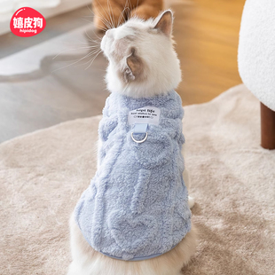 宠物小猫咪衣服防掉毛秋冬银渐层布偶幼猫德文无毛猫英短小猫冬装