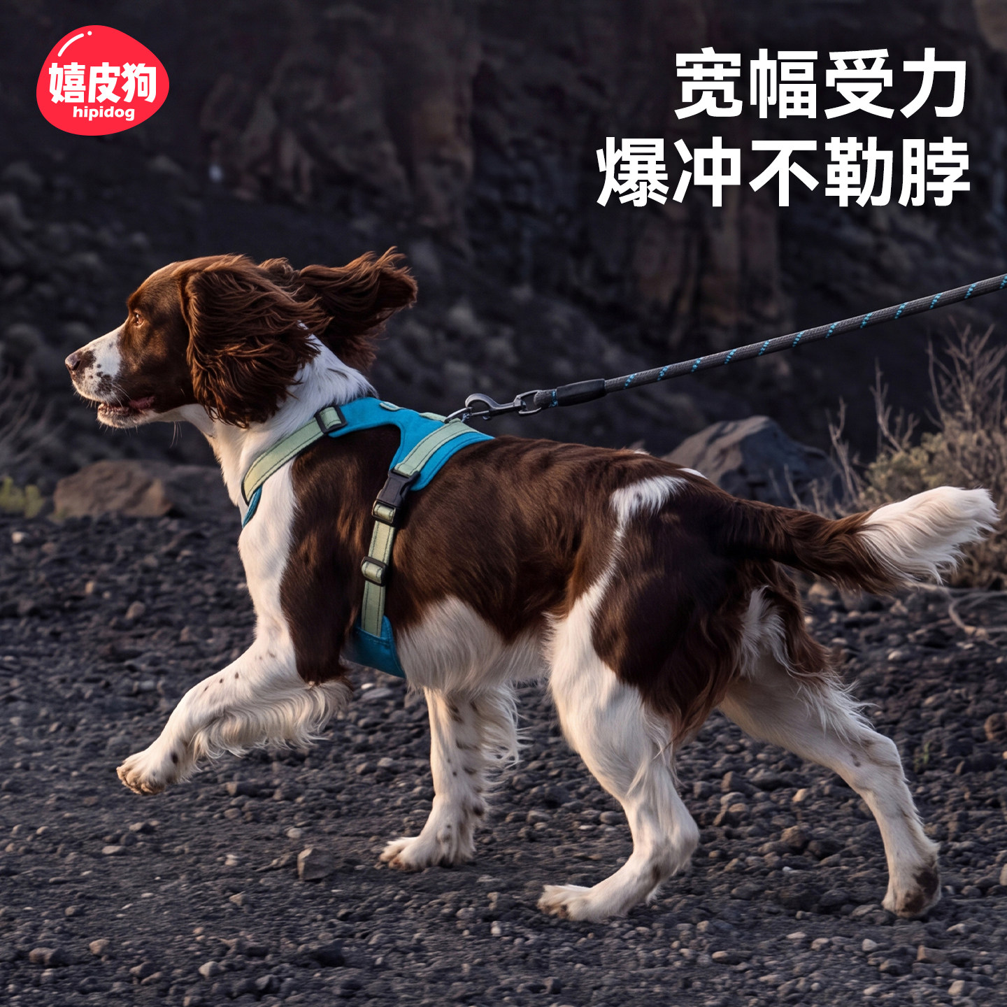 嬉皮狗胸背宠物牵引绳便捷小中大型犬防爆冲背心式套装狗狗出行狗