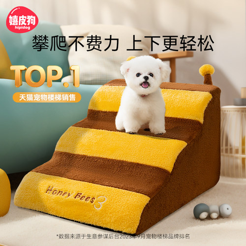 萌宠出动辅助爬坡呵护狗狗上下