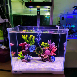 海魔方T系列背滤海水缸小桌面缸检疫缸隔离缸繁殖缸专业过滤背滤