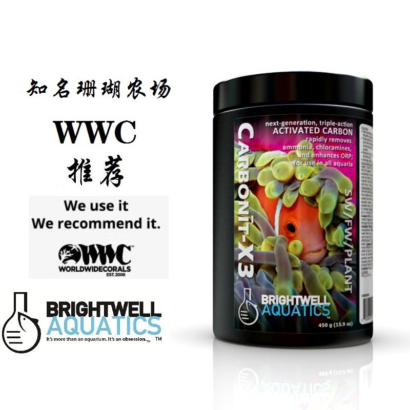Brightwell美国BW提高ORP活性炭Carbonit-X3活性碳无硫磷去氨气胺