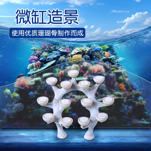 幽影40缸造景石海缸鱼缸水族养鱼摆件树景珊瑚石景观岩石装饰定制