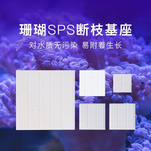 珊瑚基座六边形 圆形 方形 T形草皮纽扣基座珊瑚熊上石盒断枝基座