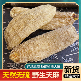 秦岭深山仿野生干天麻药效好冬麻赤箭天然晒干无硫熏不酸大天麻
