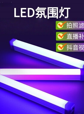 网红拍照氛围小夜灯宿舍蓝紫光灯led充电灯管背景补光灯夜光灯