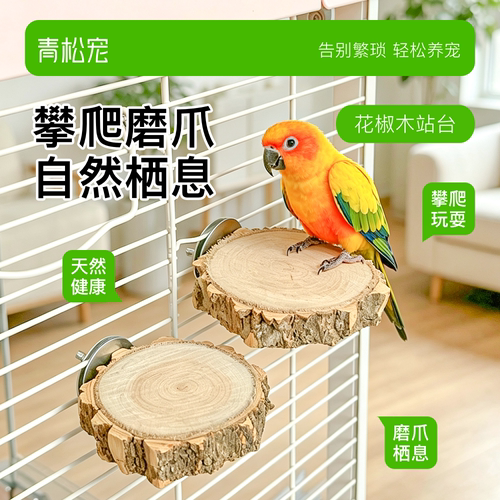 青松宠鹦鹉花椒木站台