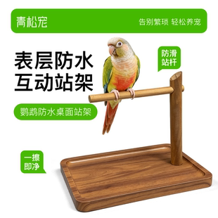 青松宠鹦鹉原木风桌面站架定点排便神器牡丹虎皮玄凤互动训练站台