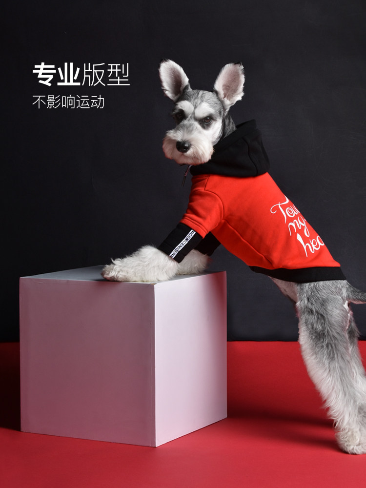 猫咪小型薄款比熊特价清仓不退换