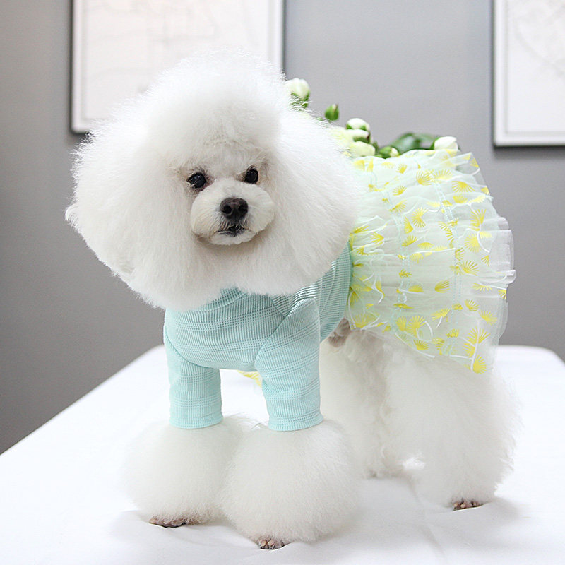 妮克威尔nicovaer宠物衣服泰迪狗狗衣服花环烫图蛋糕裙2019春装