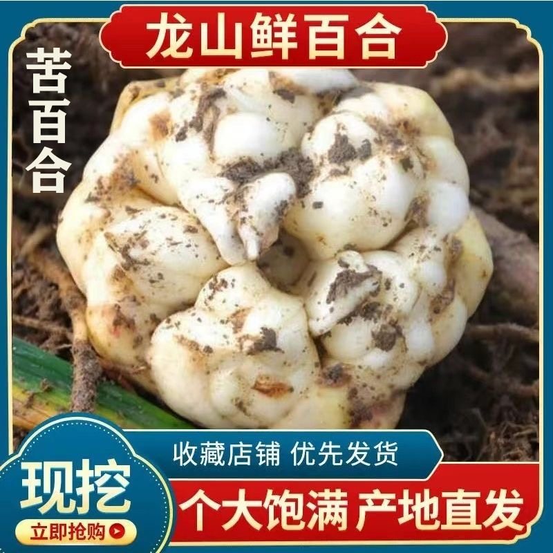 2026年新鲜食用产地直发微苦无硫湖南龙山苦当季