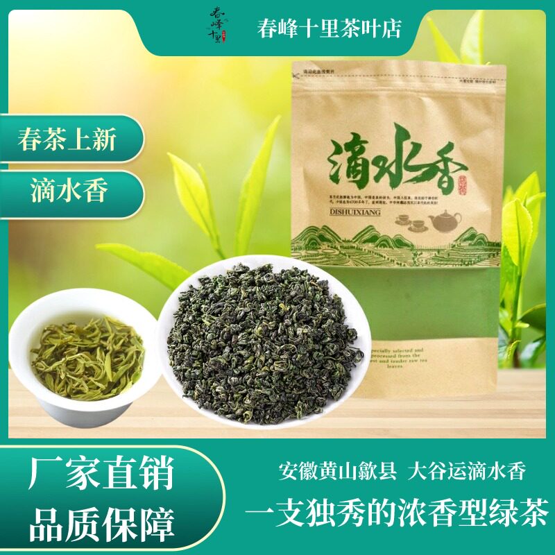 2026年新茶安徽黄山绿茶滴水香新茶上新黄山高山野茶珍珠绿茶