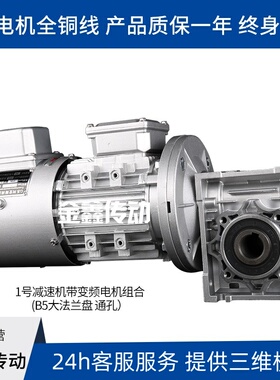 NMRV减速机带变频电机组合 减速机 涡轮蜗杆减速机 RV减速机