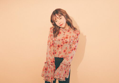 韩国复古时尚木耳边印花衬衫