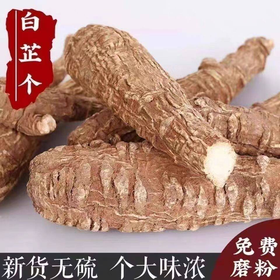 川白芷根特级无硫四川白芷香料卤料中药材整条白芷根