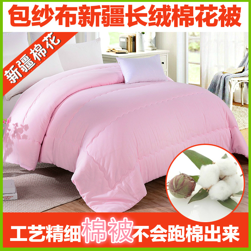 新疆双人褥子春秋加厚冬被