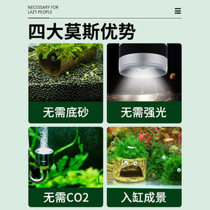 推荐鱼缸水草造景莫斯水草懒人真植物鱼虾躲避罐虾屋小摆件小鱼躲