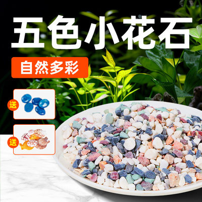 疯狂水草造景装饰圆润光滑