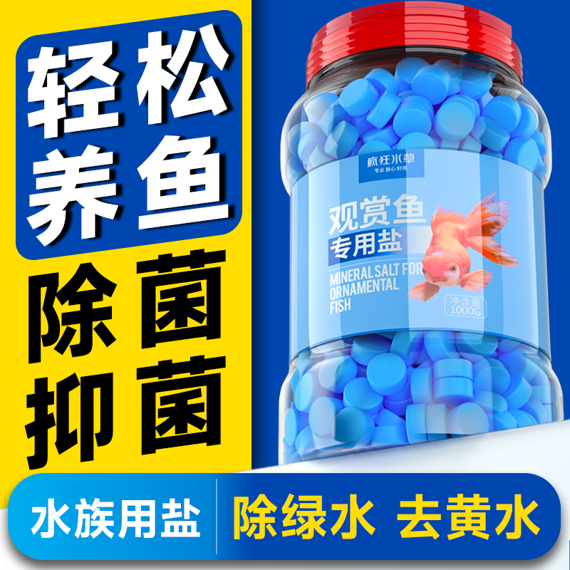 疯狂水草鱼缸盐观赏鱼