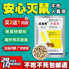 老鼠药非特效家用药超强力室外死耗子药高效一锅端灭鼠药老鼠神药