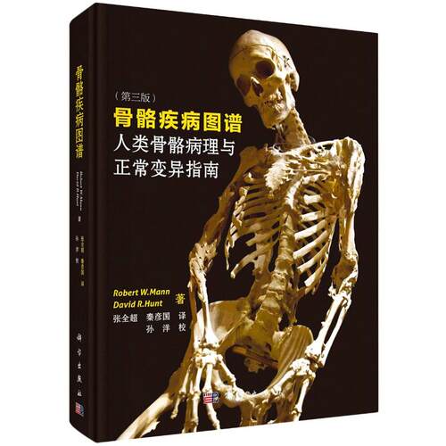 人类骨骼价格 人类骨骼图片 星期三