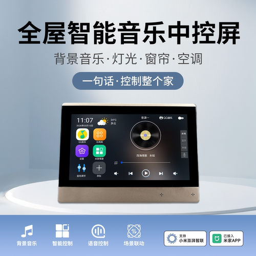 向往双音源背景音乐主机